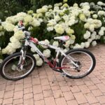 Fahrrad Rad Mountainbike Bike Damen Universal Weiss - Rot - Schwarz sehr schöner Zustand