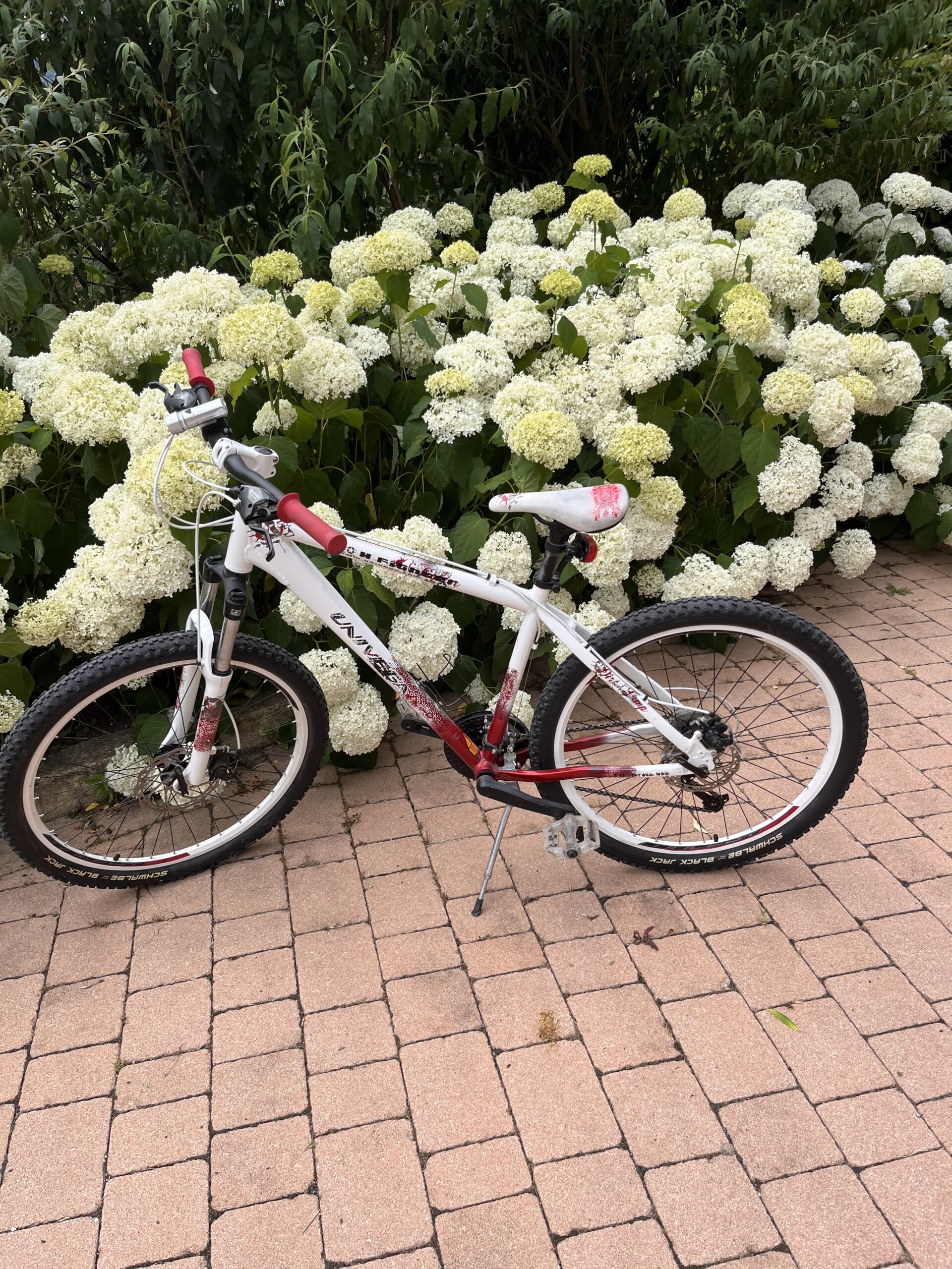 Fahrrad Rad Mountainbike Bike Damen Universal Weiss - Rot - Schwarz sehr schöner Zustand