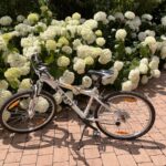 Fahrrad Rad Mountainbike Bike Damen X-Fact (oder auch Herren) Weiss - Grau - Gelb - Orange sehr schönes Sportrad !